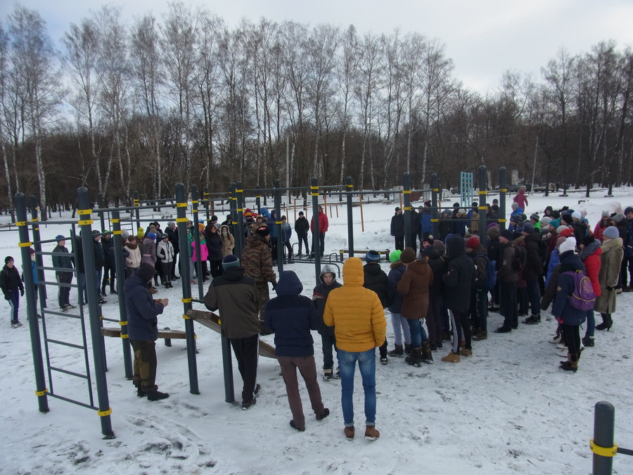 Сокольники новомосковск