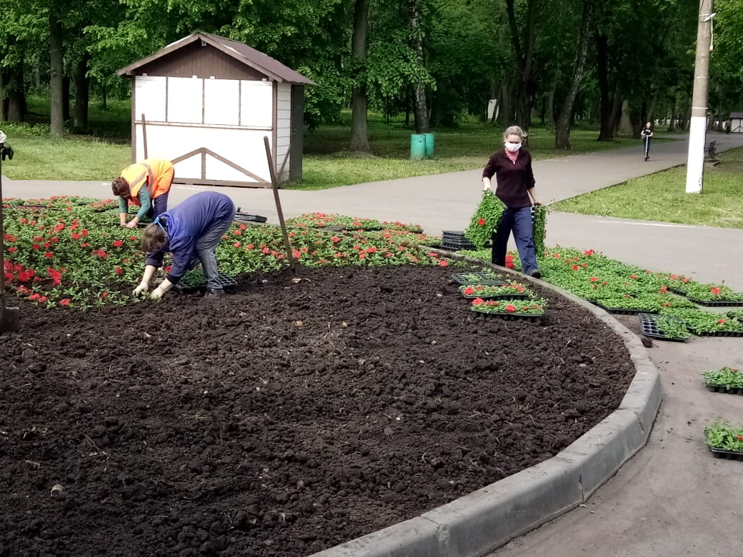 Новомосковск клумбы. Районное благоустройство Новомосковск. Клумбы в Новомосковске Тульской. Клумба Новомосковска Тульской области.