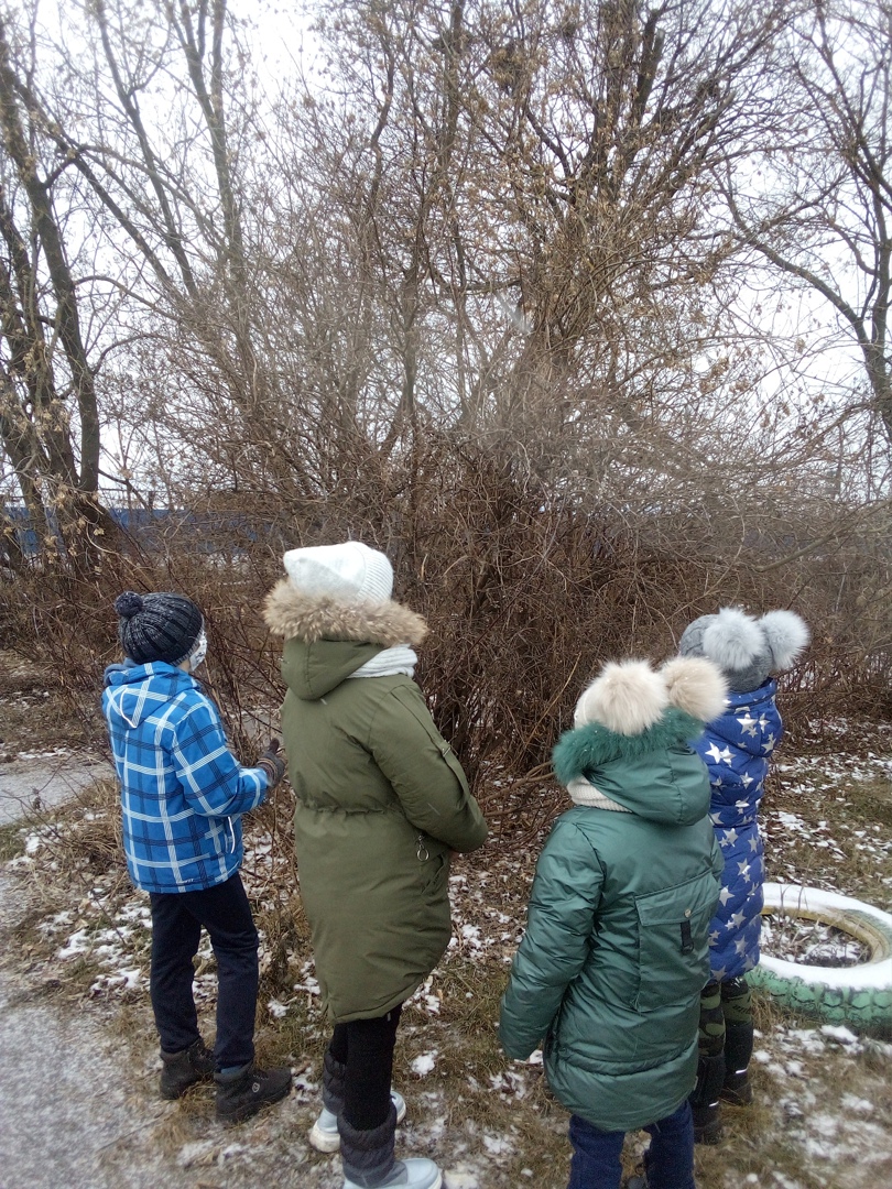 Экологическая игра «Загадки живой природы»