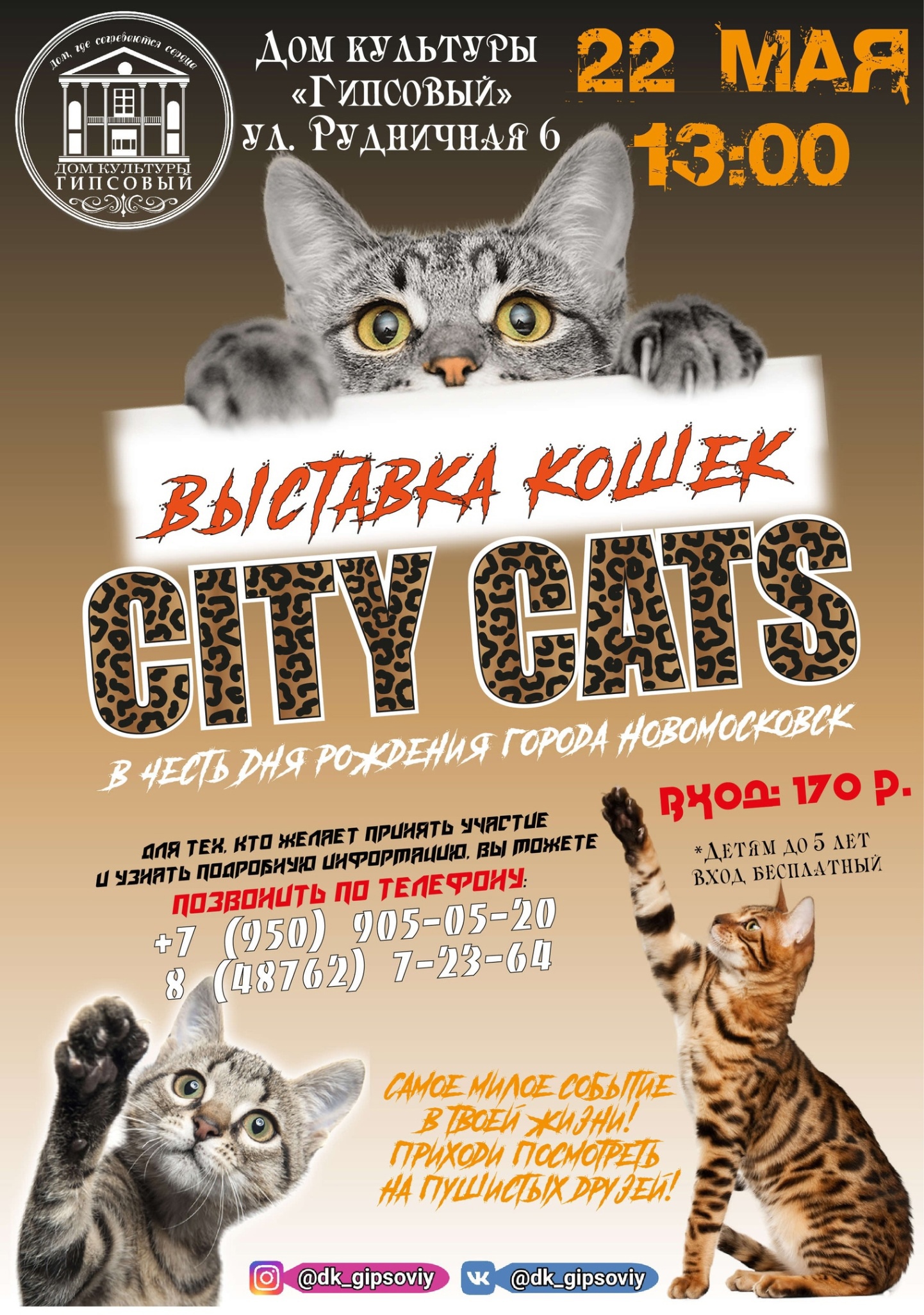 City Cats Пермь. Культурная кошка. The Cat and the City.